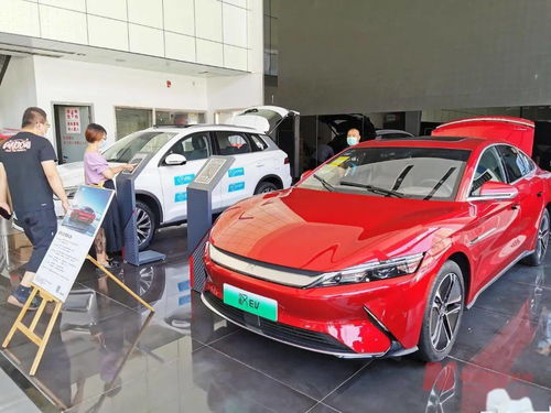 新能源車補貼退坡調(diào)查 市場終端火爆，車企策略分化，今年銷量劍指600萬輛